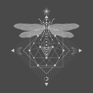 Vector illustration with hand drawn dragonfly and Sacred geometric symbol  Stock Illustration