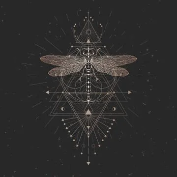Vector illustration with hand drawn dragonfly and Sacred geometric symbol Stock Illustration