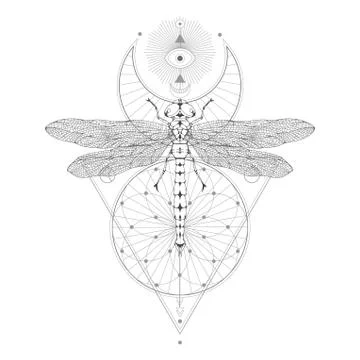 Vector illustration with hand drawn dragonfly and Sacred geometric symbol on  Stock Illustration