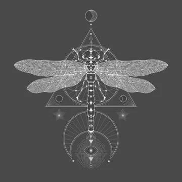 Vector illustration with hand drawn dragonfly and Sacred geometric symbol  Stock Illustration