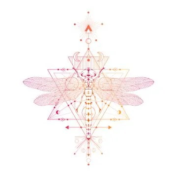 Vector illustration with hand drawn dragonfly and Sacred geometric symbol Stock Illustration