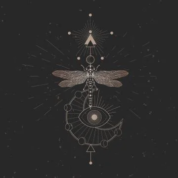 Vector illustration with hand drawn dragonfly and Sacred geometric symbol Stock Illustration