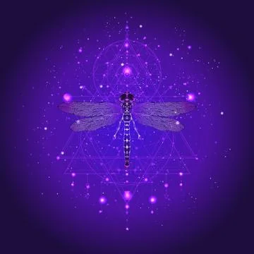 Vector illustration with hand drawn dragonfly Stock Illustration