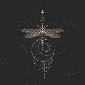 Vector illustration with hand drawn dragonfly and Sacred symbol Stock Illustration