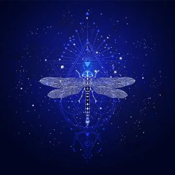 Vector illustration with hand drawn dragonfly and Sacred geometric symbol  Stock Illustration