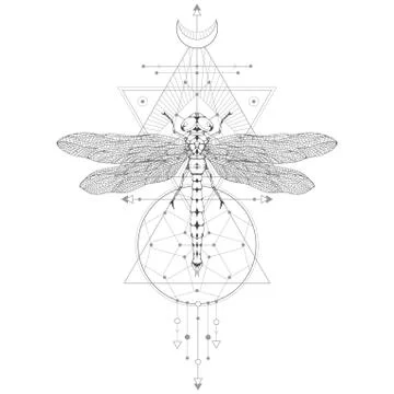 Vector illustration with hand drawn dragonfly Stock Illustration