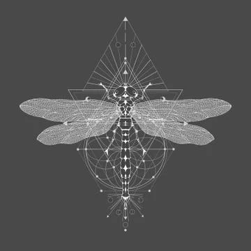 Vector illustration with hand drawn dragonfly Illustrazione stock