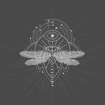 Vector illustration with hand drawn Dragonfly and Sacred symbol LOTUS. Stock Illustration