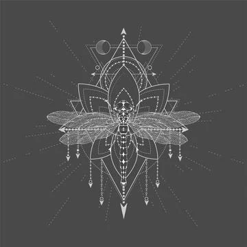 Vector illustration with hand drawn Dragonfly Stock Illustration