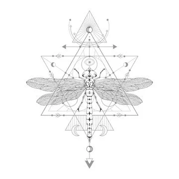 Vector illustration with hand drawn dragonfly and Sacred geometric symbol on  Stock Illustration