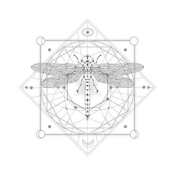 Vector illustration with hand drawn dragonfly and Sacred geometric symbol on  Stock Illustration