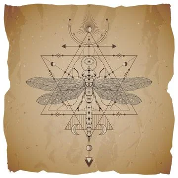 Vector illustration with hand drawn dragonfly and Sacred geometric symbol on  Stock Illustration