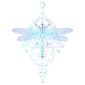 Vector illustration with hand drawn dragonfly and Sacred geometric symbol on whi Stock Illustration