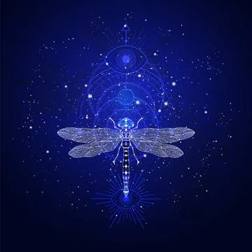 Vector illustration with hand drawn dragonfly and Sacred geometric symbol aga Stock Illustration
