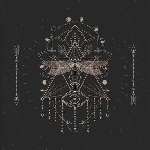 Vector illustration with hand drawn Dragonfly and Sacred geometric symbol on  Stock Illustration