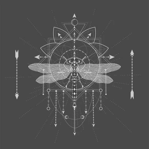 Vector illustration with hand drawn Dragonfly and Sacred symbol LOTUS on black  Stock Illustration