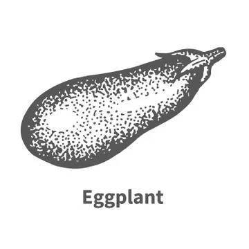 Vector illustration hand-drawn eggplant Stock Illustration