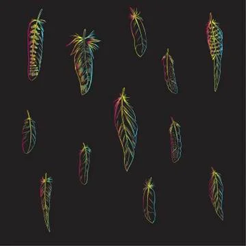 Vector illustration of a hand drawn feathers. Set on a black background Stock Illustration
