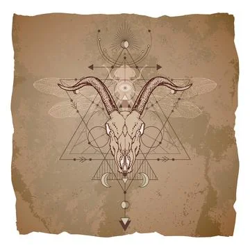 Vector illustration with hand drawn goat skull, dragonfly and Sacred geometri Illustrazione stock