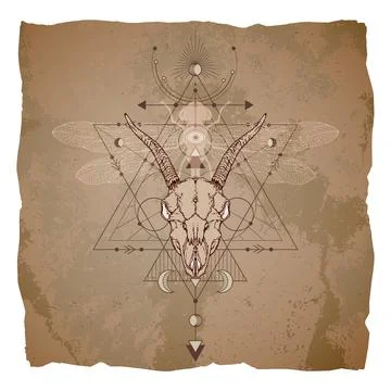 Vector illustration with hand drawn goat skull, dragonfly and Sacred geometri Stock Illustration