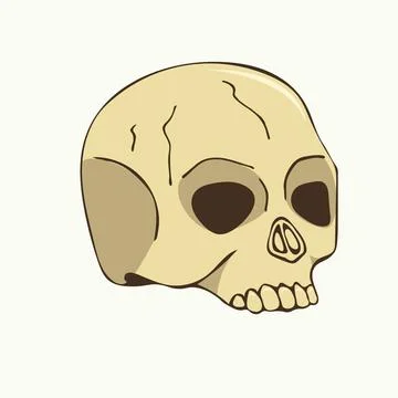 Vector illustration of a hand drawn human skull on a white background. Stock Illustration
