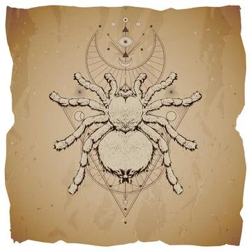 Vector illustration with hand drawn insect and Sacred geometric symbol on vin Stock Illustration