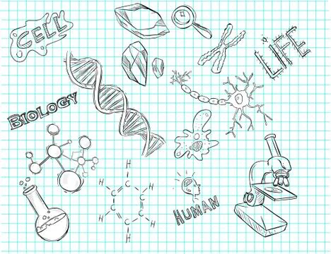 Vector illustration of a hand drawn laboratory icon Stock Illustration