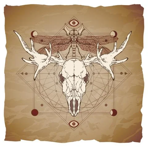 Vector illustration with hand drawn moose skull, dragonfly and Sacred geometr Stock Illustration
