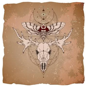 Vector illustration with hand drawn moose skull, dead head moth and Sacred ge Stock Illustration