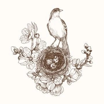 Vector illustration of hand drawn nest with spotted eggs and bird on blooming Stock Illustration