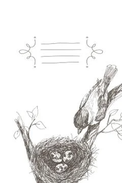 Vector illustration of hand drawn nest with spotted eggs and bird. Graphic style Stock Illustration