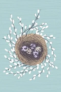 Vector illustration of hand drawn nest with spotted eggs and willow. Graphic Stock Illustration