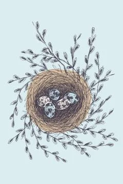 Vector illustration of hand drawn nest with spotted eggs and willow. Graphic Stock Illustration