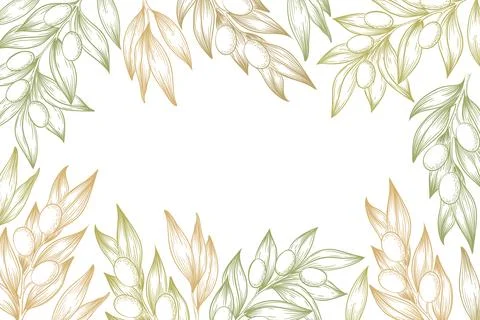 Vector illustration with hand drawn olive branches, leaves and berries fram.. Stock Illustration