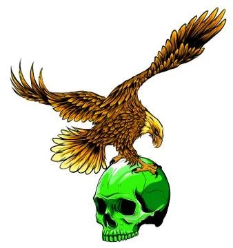 Vector illustration with hand drawn ornate eagle on human skull with rose Stock Illustration