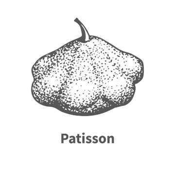 Vector illustration hand-drawn patisson Stock Illustration