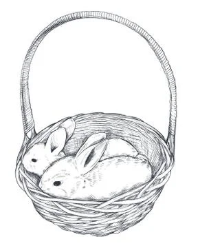 Vector illustration of hand drawn rabbits in the basket Illustrazione stock