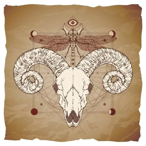 Vector illustration with hand drawn ram skull, dragonfly and Sacred geometric Stock Illustration