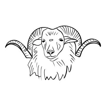 Vector illustration hand drawn ram logo, line art black lines Stock Illustration