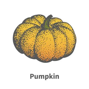 Vector illustration hand-drawn ripe yellow pumpkin Stock Illustration