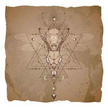 Vector illustration with hand drawn roe deer skull, dragonfly and Sacred geom Stock Illustration