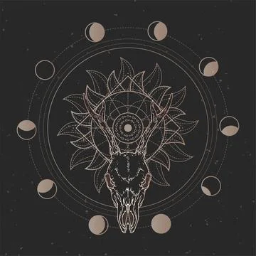 Vector illustration with hand drawn Roe deer skull and Sacred geometric symbo Stock Illustration