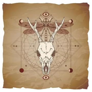 Vector illustration with hand drawn roe deer skull, dragonfly and Sacred geom Stock Illustration