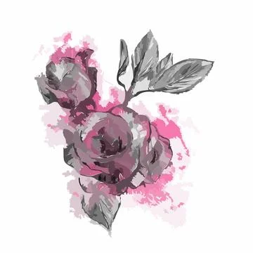 Vector illustration of hand drawn rose flower in pink color,scenic illustration Stock Illustration