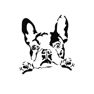 Vector illustration of a hand drawn silhouette of a french bulldog. Stock Illustration