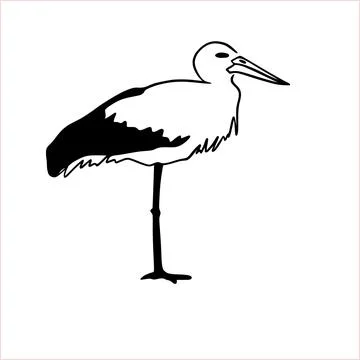Vector illustration of hand drawn silhouette of a stork Stock Illustration