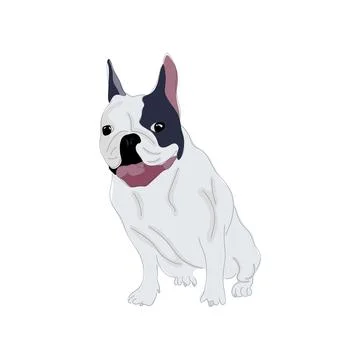 Vector illustration of a hand drawn sitting white french bulldog. Illustrazione stock