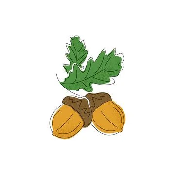Vector illustration of hand drawn sketch of acorn. Stock-Illustration