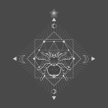Vector illustration with hand drawn spider tarantula and Sacred geometric symbol Stock Illustration