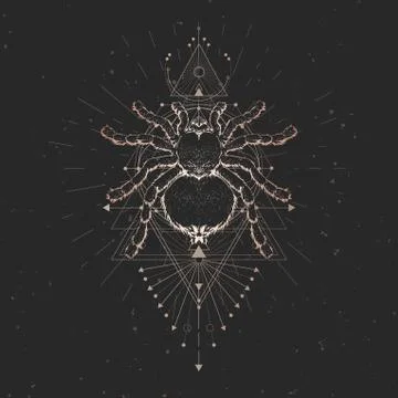Vector illustration with hand drawn spider and Sacred geometric symbol Stock Illustration